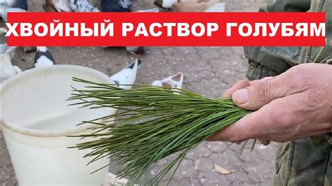 Подкисленная вода и варка