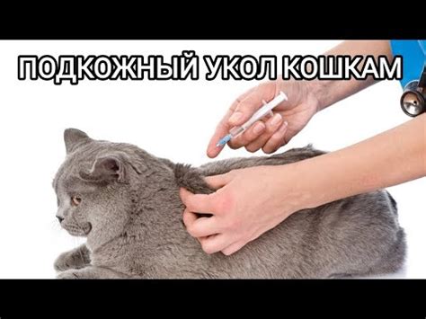 Подкожный укол как эффективный способ лечения