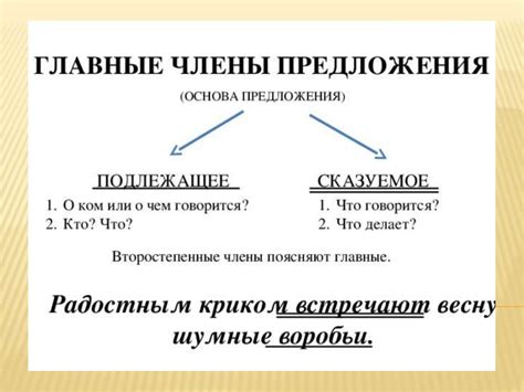 Подлежащее явление: основные аспекты и функции