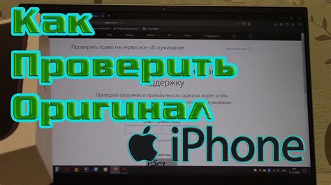 Подлинность Ростест айфона: как узнать оригинал?