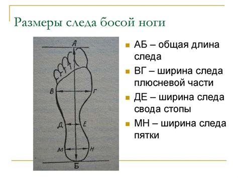 Подношение босой ноги