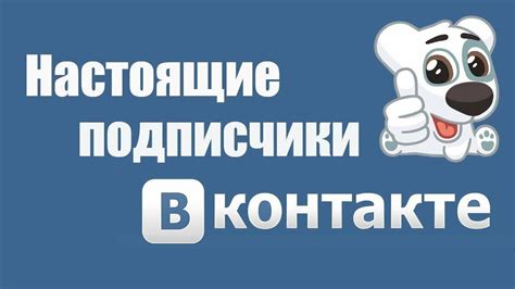 Подписчик ВКонтакте: роль и возможности