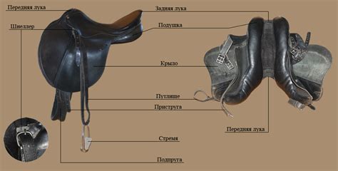 Подпруга: роль и назначение