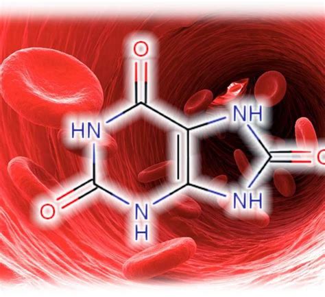 Подробное описание мочевой кислоты и ее функций в организме