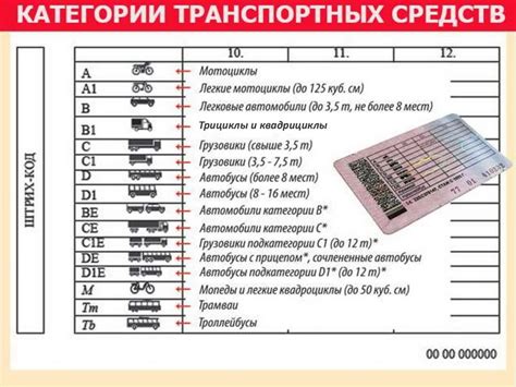 Подходящий возраст для категории А