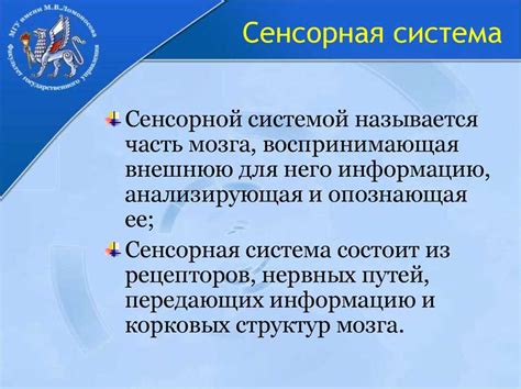 Позиция наблюдателя: ключевая роль в восприятии окружающего мира