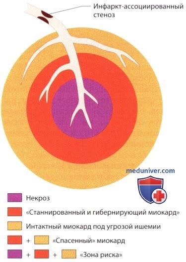 Показания для диагностики