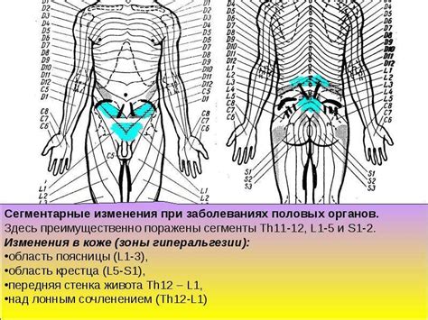 Показания для проведения урологического массажа