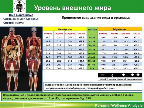 Показатели процента жира у здорового человека