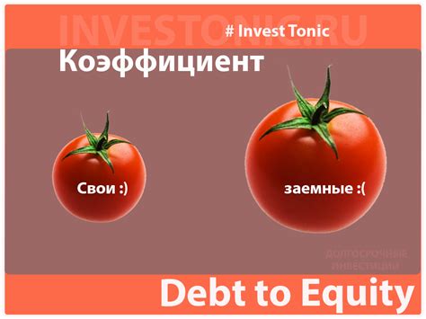 Показатель debt equity: определение и значение