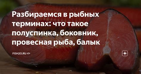 Полезность лосося градо в рыбных продуктах