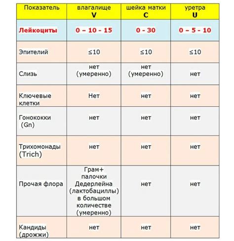 Полезность мазка на лейкоциты в диагностике женских заболеваний