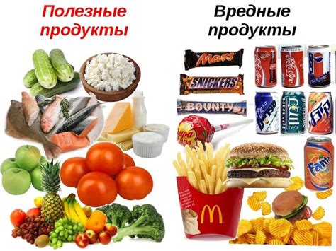 Полезные продукты вегетарианской диеты