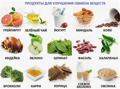 Полезные продукты для питания рох