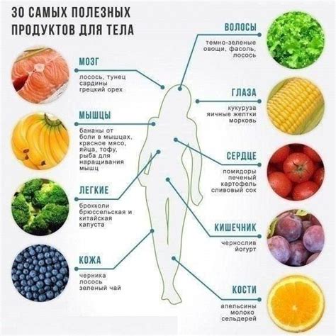 Полезные продукты и равновесие организма