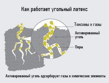 Полезные свойства перфорированного латекса для организма