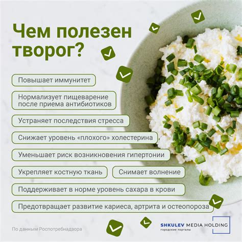 Полезные свойства творожного продукта