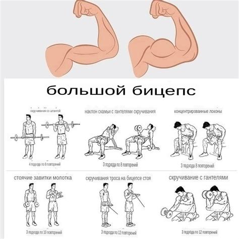 Полезные советы для развития мышц головы у ребенка