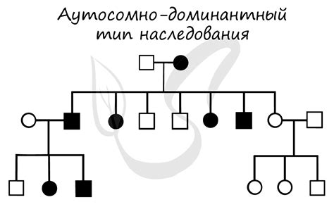 Полигенный тип наследования: основные принципы и примеры