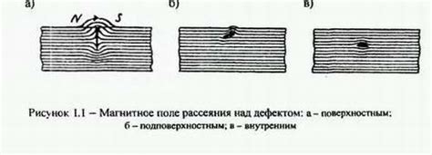 Полиморфный дефект: суть и особенности