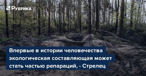 Полка мефа и экологическая составляющая