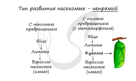 Полное/неполное расстройство: различия