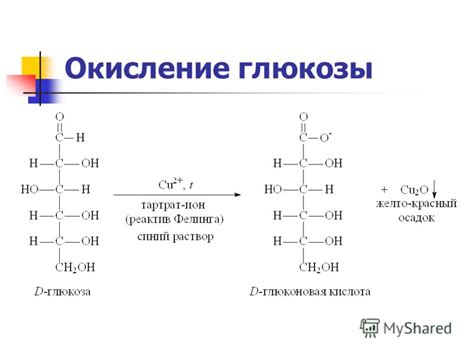 Полное окисление глюкозы: общая информация