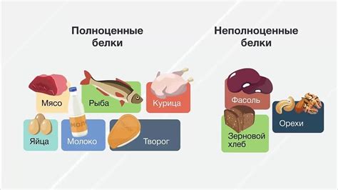 Полноценные белки: что это?