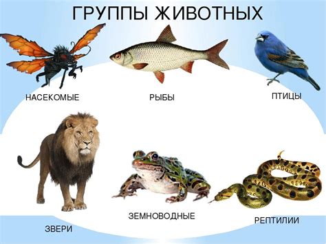 Половозрастная группа животных: определение и особенности