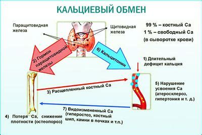 Положительная проба Сулковича