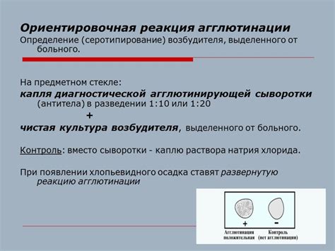 Положительная реакция агглютинации и ее значение