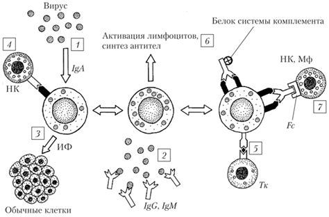 Положительное мышление и натуральные киллеры