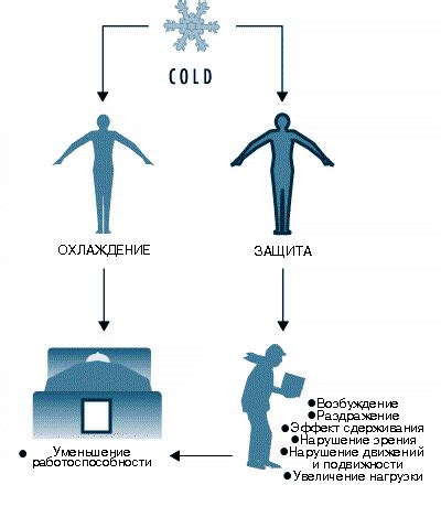 Положительные аспекты местного холода для организма