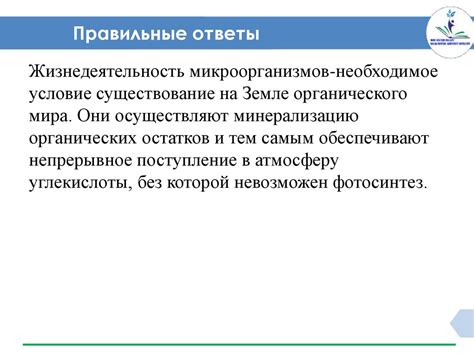 Положительные и отрицательные аспекты использования одинаковых моделей