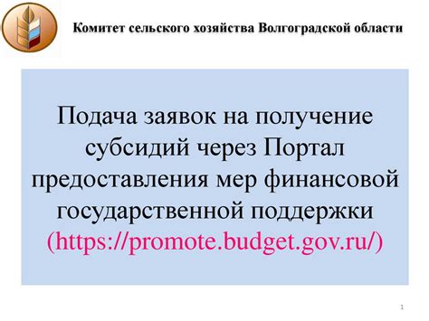 Получение государственной поддержки и субсидий