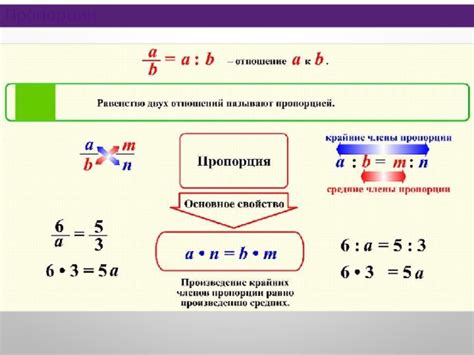 Получение идеальных результатов с помощью точных пропорций