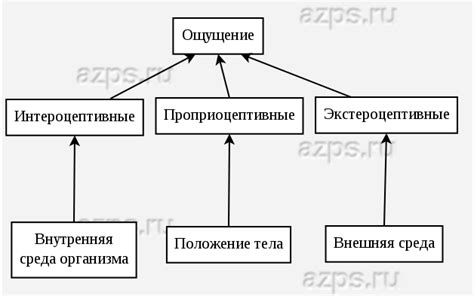 Получение и восстановление потерянных ощущений: