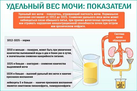 Получение уровня удельного веса мочи у ребенка: анализы и лабораторные исследования