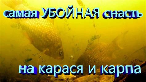 Получение эмоционального и физического удовольствия от улова живой рыбы руками: разбор сновидения