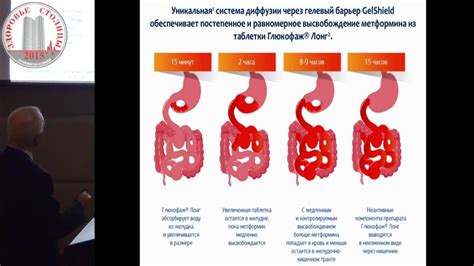 Польза и действие метформина пролонгированного действия