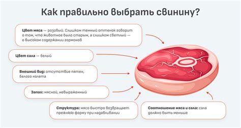 Польза пресного мяса для организма