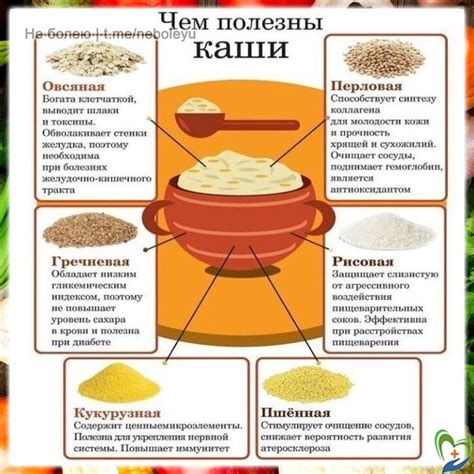 Польза пшеничной каши для здоровья