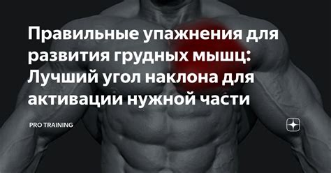 Польза развития грудных мышц