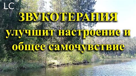 Польза созерцания природы