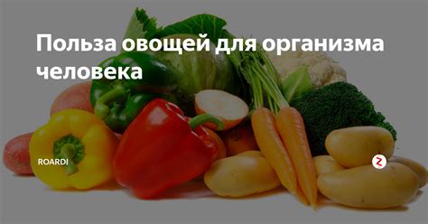 Польза тушения овощей для организма