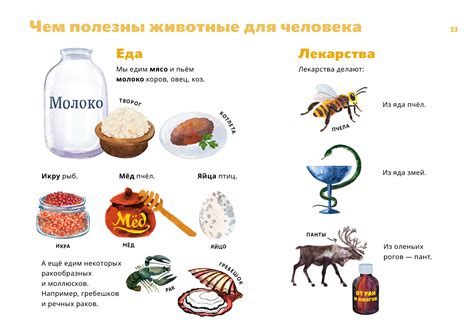 Польза хилейтинга для жизни