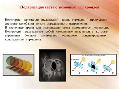 Поляризация в науке и технологиях