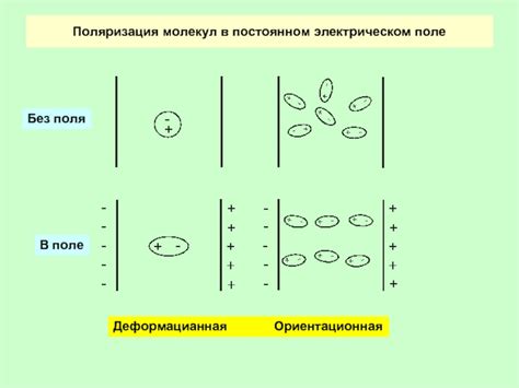 Поляризация молекул