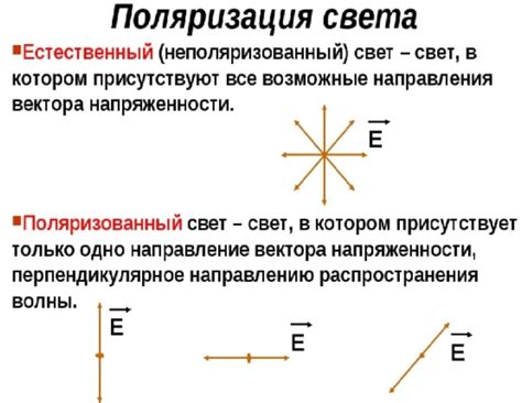 Поляризация света: объяснение понятия и принципы действия