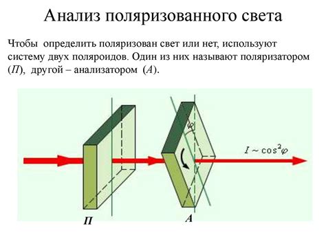 Поляризация света в линзе-зеркале